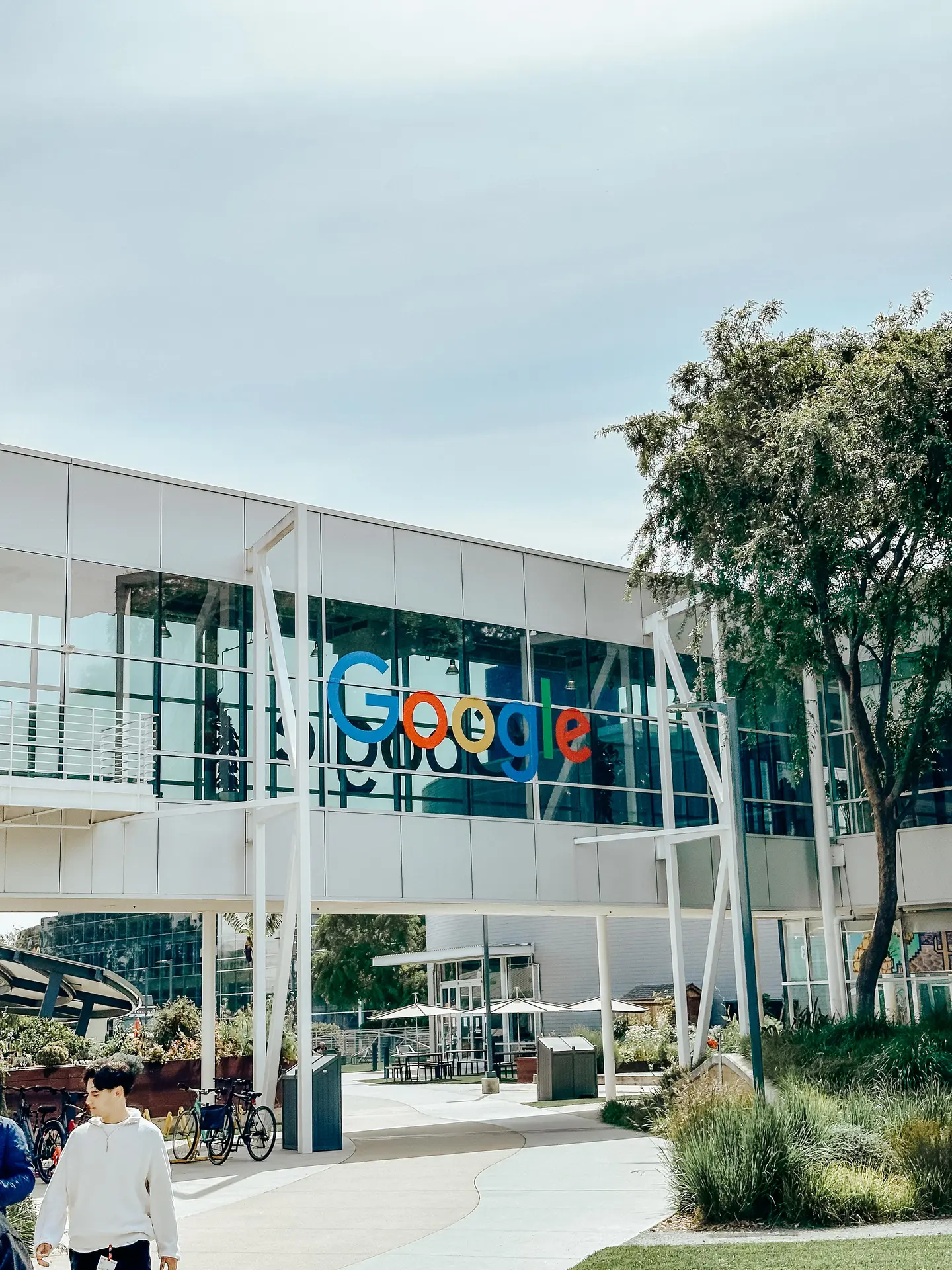 Nel campus Google, Sunnyvale